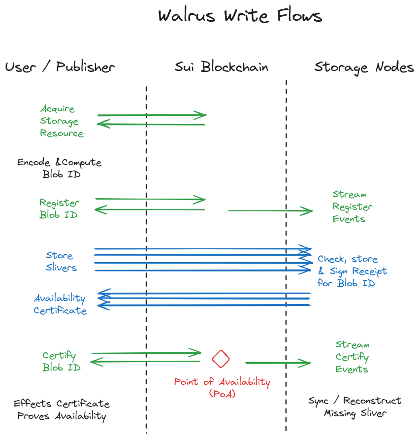 Walrus Write Flow